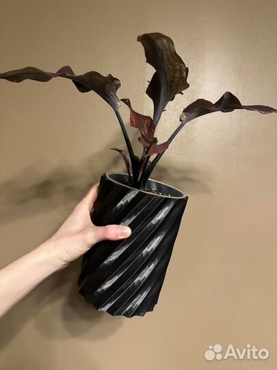 Кашпо из 3D пластика