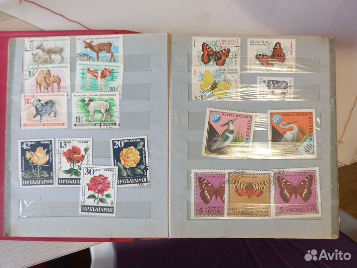 Марки в альбоме