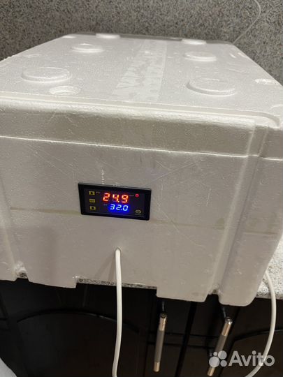 Инкубатор для рептилий