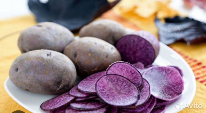 Картофель на посадку рассада помидор расада перцев