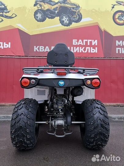 Квадроцикл promax renegade 300