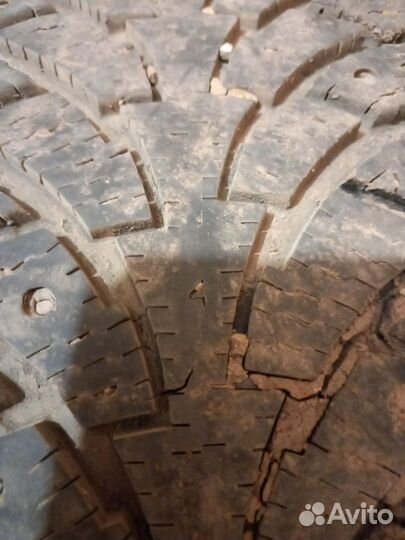 Nordman Nordman 4 205/60 R16