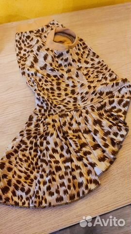 Одежда для кошек и мелких пород собак