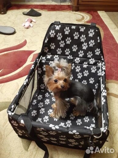 Автогамак для собак, животных на переднее сиденье