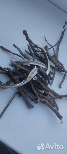 Лакомства для грызунов