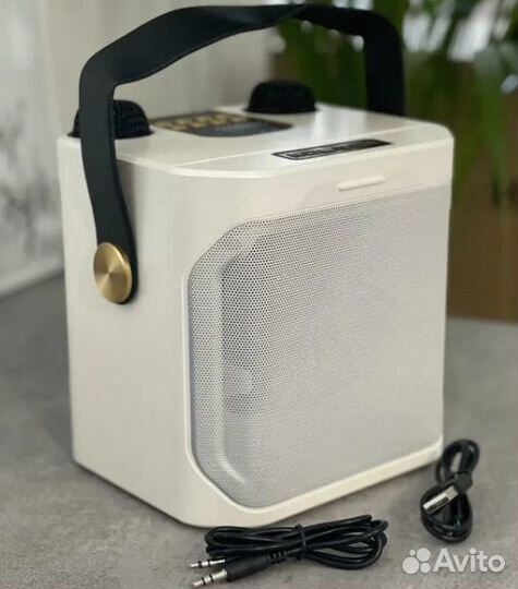 Колонка караоке koleer S882 с двумя микрофонами