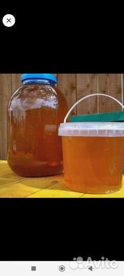 Мед из Башкирии,Липовый, Гречишный, Разнотравие