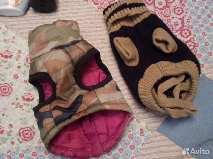 Аксессуары для собак, поводок, шлейка, одежда