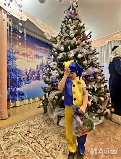 Костюм Петрушки