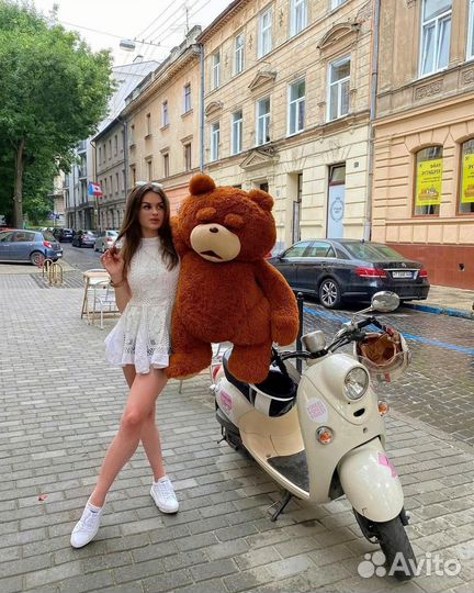 Плюшевые медведи Новые