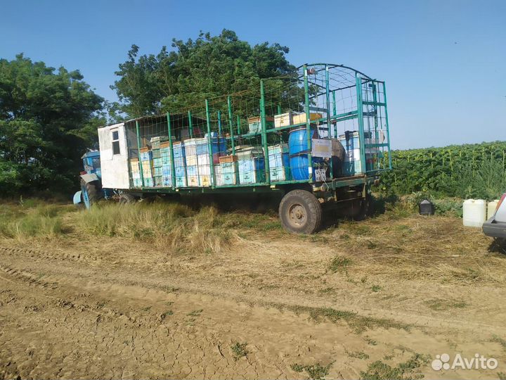Продам пчел с ульями, прицеп и трактор
