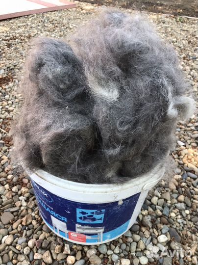 Шерсть собачья