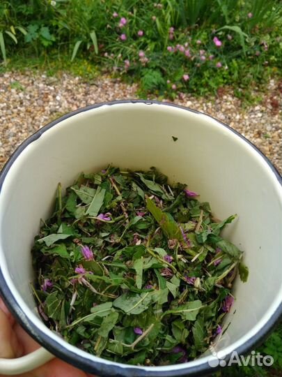 Травяной чай.Шиповник,зверобой, Иван чай