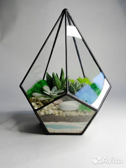 Флорариумыподарки