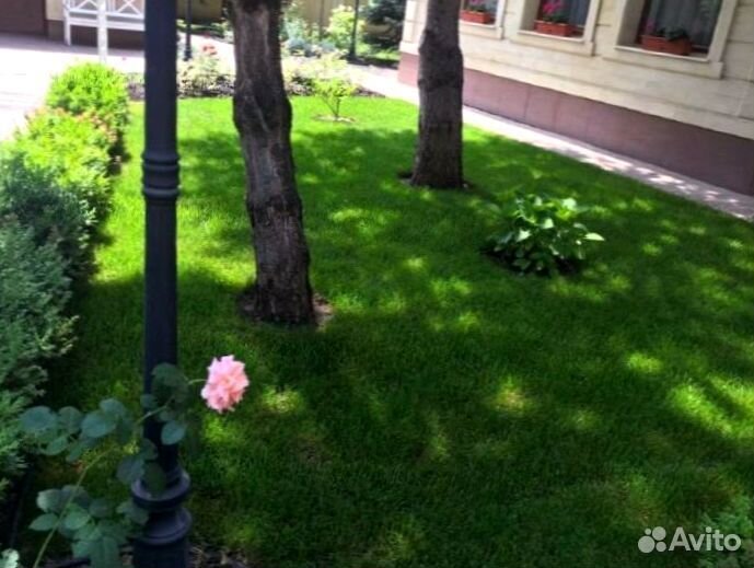 Рулонный газон
