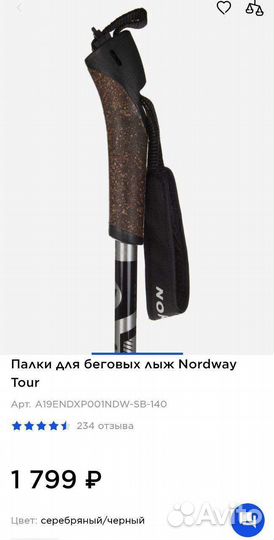 Лыжные палки