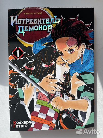 Манга истребитель демонов