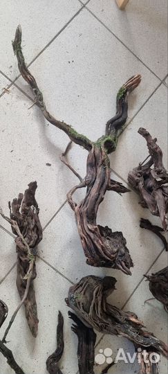 Коряги для аквариума