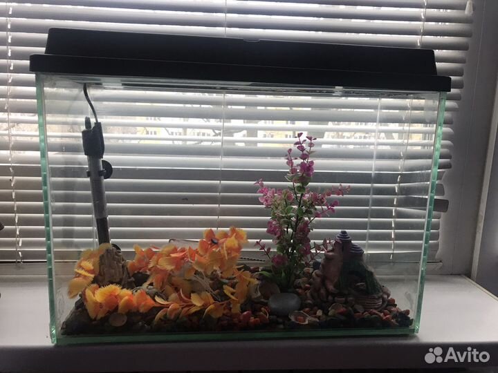 Аквариум