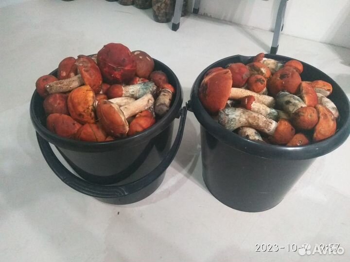 Продукты питания
