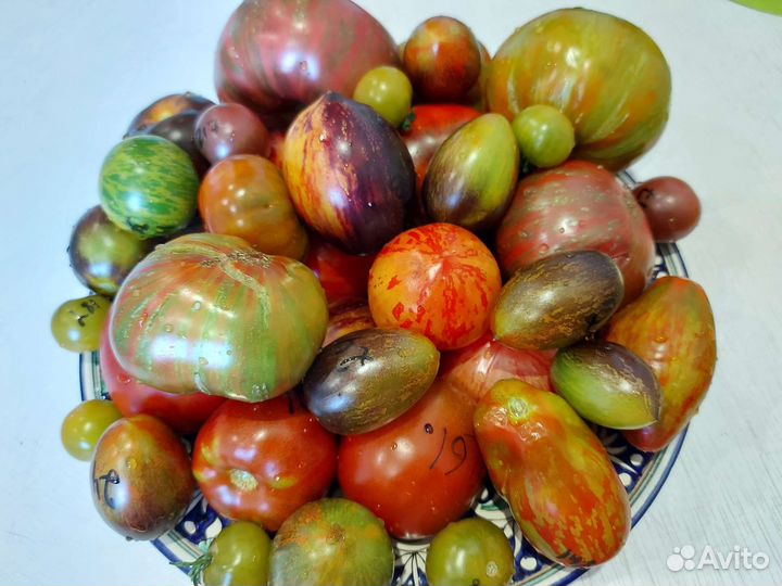 Семена томатов коллекционные