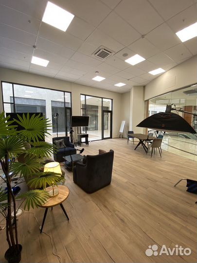 Видео риллс шортс