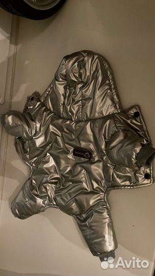 Одежда для собак