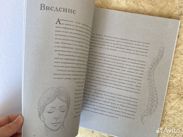 Анатомия для художников Баррингтон Барбер