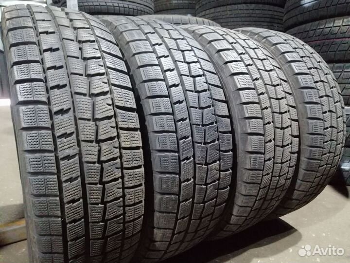 Dunlop Winter Maxx WM01 175/65 R14