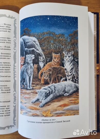 Коты - Воители (серия книг )