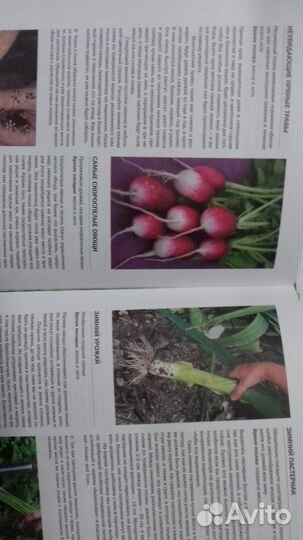 Шесть соток