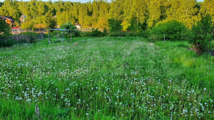 Участок 8,1 сот. (СНТ, ДНП)