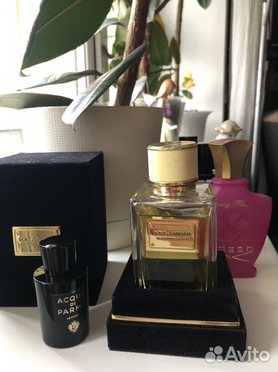 D&G mimosa 150, Diptyque rose