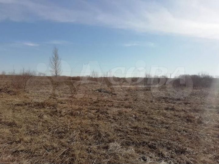 Участок 1,5 га (ИЖС)