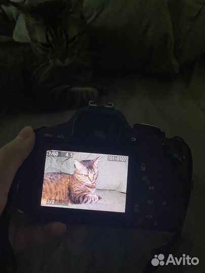 Фотоаппарат canon eos 600d