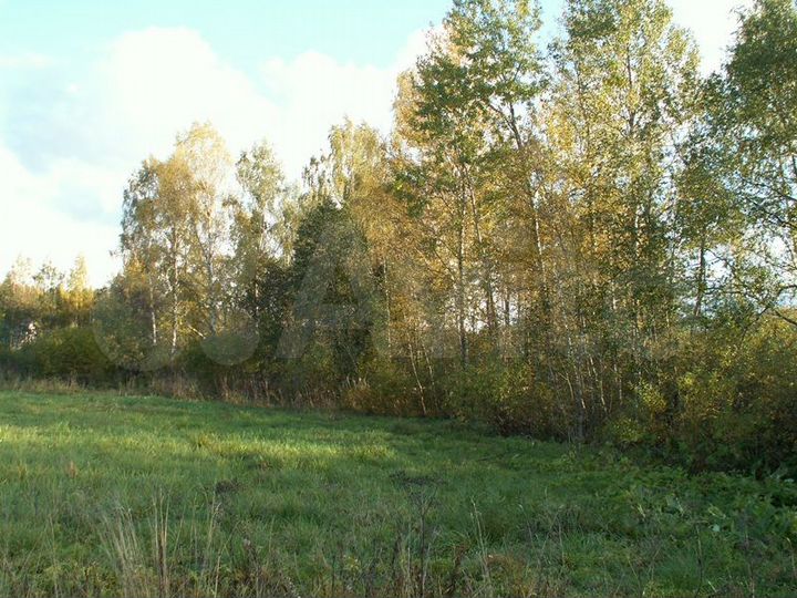 Участок 29 сот. (ИЖС)