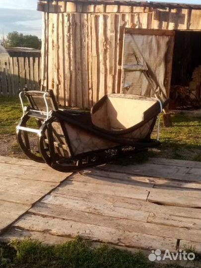 Продам кашаву