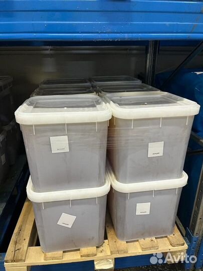 Оптом свежий гречишный мед