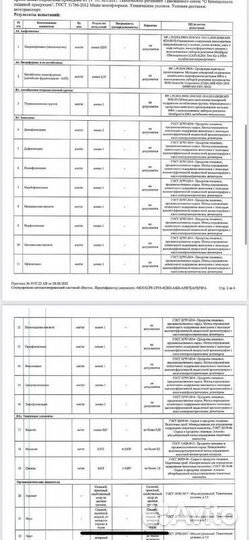 Гречишный мед оптом