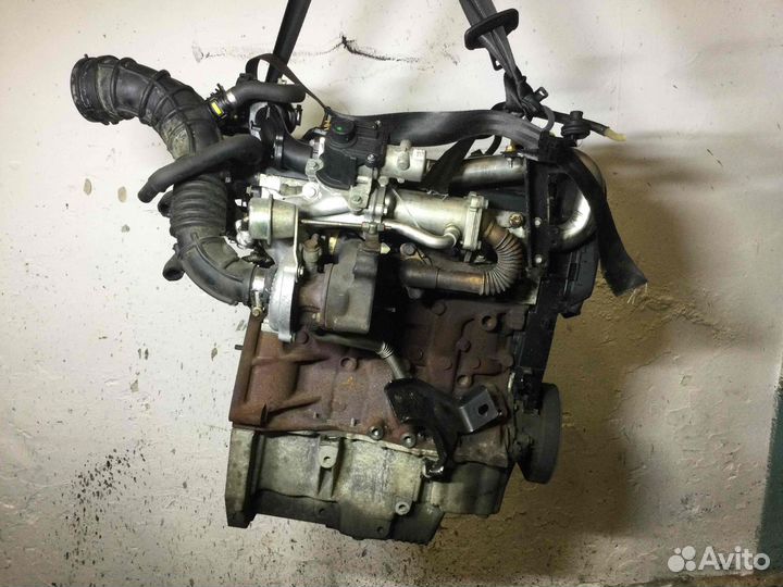 Двигатель Nissan Note 2008 K9k276 1.5