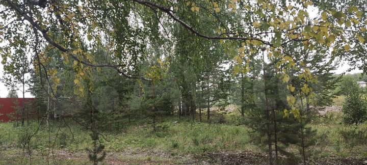 Участок 5 сот. (СНТ, ДНП)