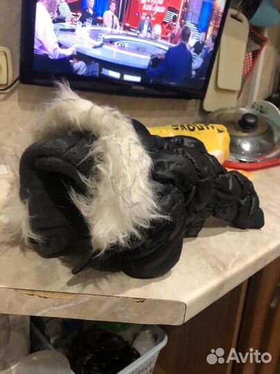 Одежда для маленьких собак