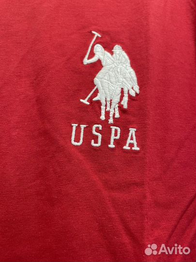 Мужская кофта US polo L