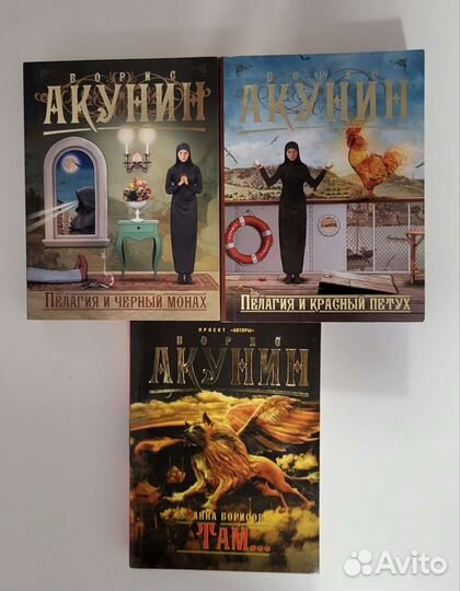 Книги Бориса Акунина