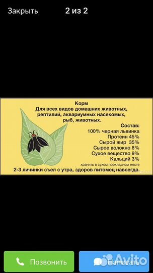 Личинка черной львинки(Сушёная)для кур,рыб,уток