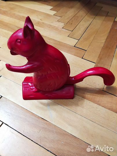 Орехоколка красивая