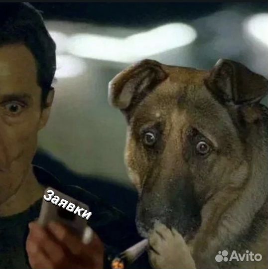 Юридические Лиды, приходы