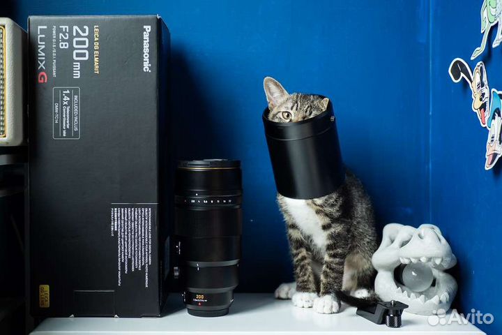 Объектив Panasonic Leica 200mm f/2.8 DG Elmarit