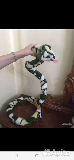 Собака такса