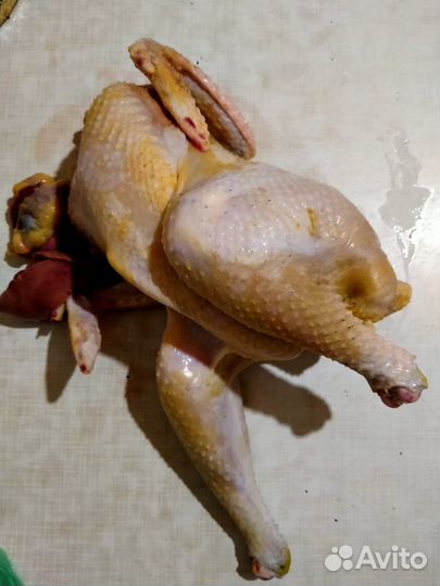 Мясо цесарки